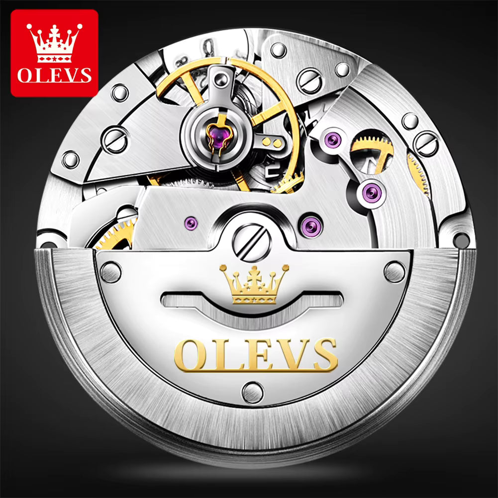 OLEVS